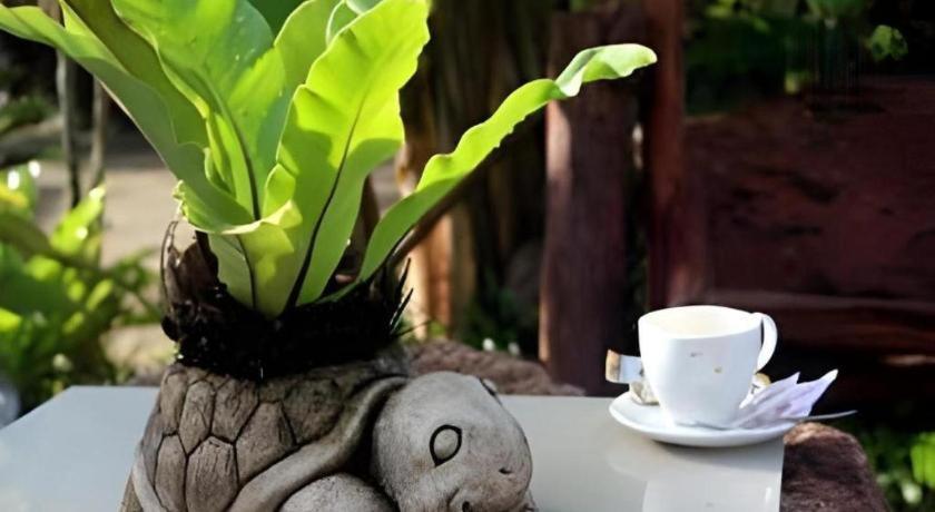 Tanisa Resort Chumphon Exteriör bild
